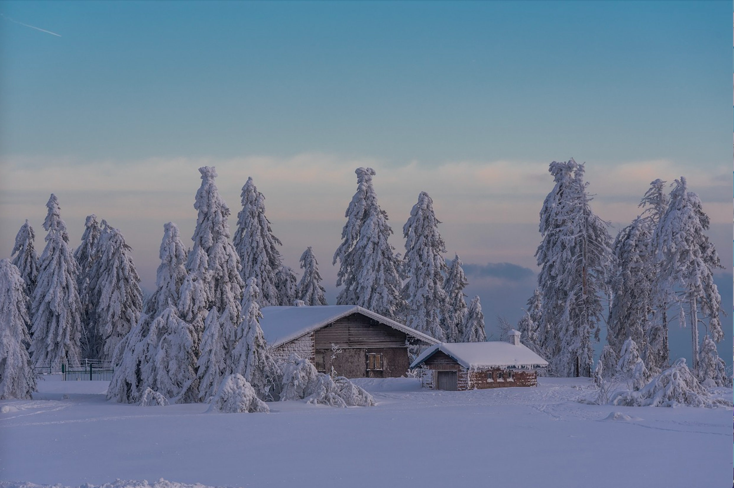 Weather-Resistant Door Technologies: Protecting Your Home from the Elements