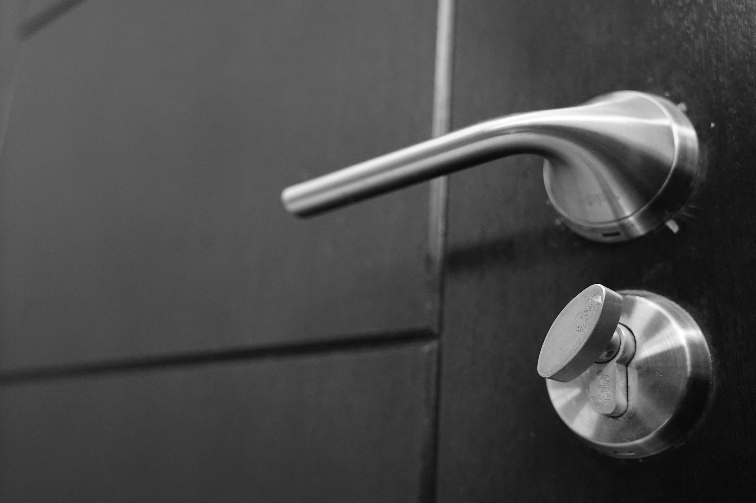 Entryway Armor: Security that Sets Frameport Doors Apart